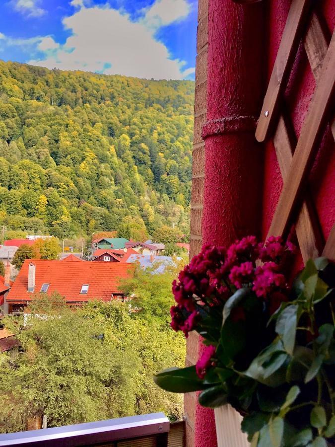 Sweet Pink By Miro Apartment Sinaia Luaran gambar