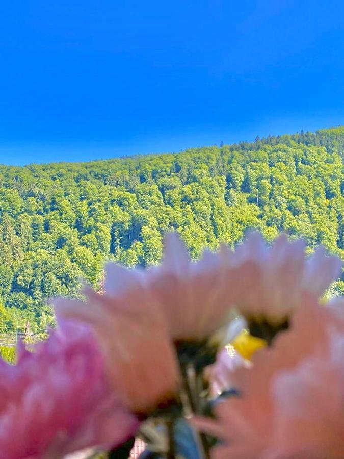 Sweet Pink By Miro Apartment Sinaia Luaran gambar