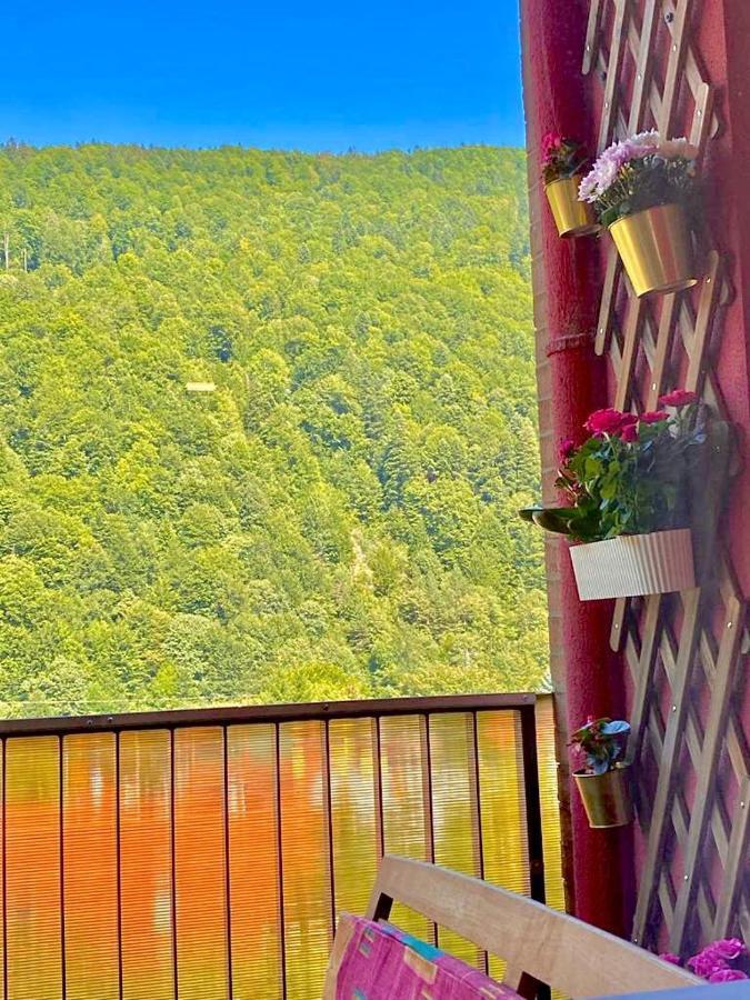 Sweet Pink By Miro Apartment Sinaia Luaran gambar